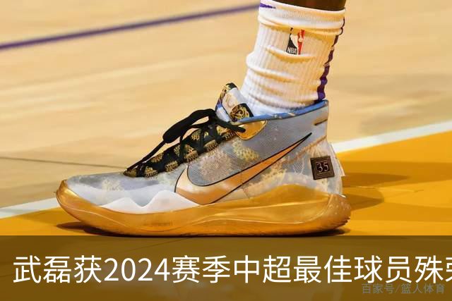 武磊获2024赛季中超最佳球员殊荣及其卓越表现分析